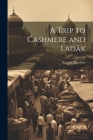 A Trip to Cashmere and Ladâk By Lambert Cowley Cover Image