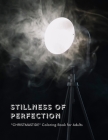 Stillness of Perfection: 
