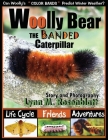 Woolly Bear the Banded Caterpillar: Life Cycle, Friends and Adventures By Lynn M. Rosenblatt Cover Image