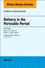 Delivery in the Periviable Period, an Issue of Clinics in Perinatology: Volume 44-2 (Clinics: Internal Medicine #44) Cover Image