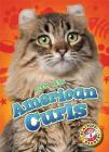 American Curls (Cool Cats) Cover Image