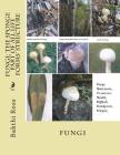 Fungi: The Sponge Part of All Life Forms' Structure: Fungi By Bakthi Ross Dr Cover Image