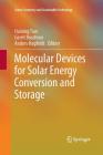 Molecular Devices for Solar Energy Conversion and Storage (Green Chemistry and Sustainable Technology) By Haining Tian (Editor), Gerrit Boschloo (Editor), Anders Hagfeldt (Editor) Cover Image