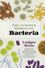 The Curious World of Bacteria By Ludger Wess, Jamie McIntosh (Translator) Cover Image