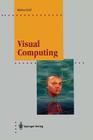 Visual Computing: The Integration of Computer Graphics, Visual Perception and Imaging (Computer Graphics: Systems and Applications) By Markus Groß Cover Image