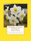 Daffodils, Narcissus and How To Grow Them: Hardy Plants For Cut Flowers With a Guide To Varieties of Daffodils and Narcissus Cover Image