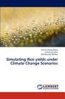 Simulating Rice Yields Under Climate Change Scenarios By Oteng-Darko Patricia, Ofori Emmanuel, Kyei-Baffour Nicholas Cover Image