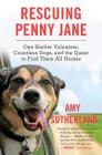 Rescuing Penny Jane: One Shelter Volunteer, Countless Dogs, and the Quest to Find Them All Homes Cover Image