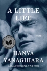 A Little Life: A Novel By Hanya Yanagihara Cover Image