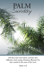 Palm Sunday Bulletin: Saying Hosanna (Package of 100): Mark 11:9 (KJV) Cover Image