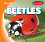 Beetles (Busy Bugs) By Bray Jacobson Cover Image