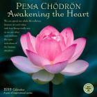 Pema Chodron 2019 Wall Calendar: Awakening the Heart Cover Image