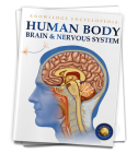 Human Body: Brain And Nervous System (Knowledge Encyclopedia For Children) By Wonder House Books Cover Image