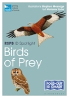 RSPB ID Spotlight - Birds of Prey By Marianne Taylor, Stephen Message (Illustrator) Cover Image