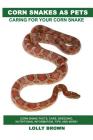 Corn Snakes as Pets: Corn Snake facts, care, breeding, nutritional information, tips, and more! Caring For Your Corn Snake By Lolly Brown Cover Image