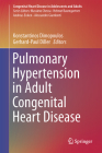 Pulmonary Hypertension in Adult Congenital Heart Disease (Congenital Heart Disease in Adolescents and Adults) Cover Image