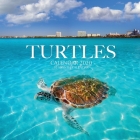 Turtles Calendar 2020: 16 Month Calendar By Golden Print Cover Image