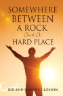 Somewhere Between A Rock And A Hard Place By Roland Dwayne Glosson Cover Image