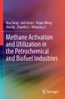 Methane Activation and Utilization in the Petrochemical and Biofuel Industries By Hua Song, Jack Jarvis, Shijun Meng Cover Image