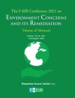 Environment Concerns and its Remediation By Deepankar Kumar Ashish (Editor) Cover Image