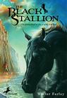 The Black Stallion (Black Stallion (Library) #1) By Walter Farley Cover Image