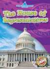 The House of Representatives (Our Government) By Mari C. Schuh Cover Image