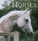 Horses (Tiny Folio) Cover Image