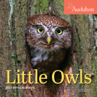 Audubon Little Owls Mini Wall Calendar 2023: A Year of Fluffy and Round Owls By Workman Calendars, National Audubon Society Cover Image