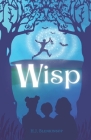 Wisp: A Kitty Tweddle Chapter Book Cover Image