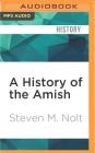 A History of the Amish: Third Edition By Steven M. Nolt, Bronson Pinchot (Read by) Cover Image