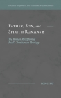 Father, Son, and Spirit in Romans 8: The Roman Reception of Paul's Trinitarian Theology By Ron C. Fay Cover Image