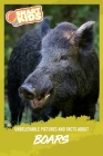 Unbelievable Pictures and Facts About Boars Cover Image