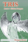 Tris 4: Hidden Dangers Cover Image