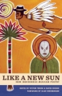 Like a New Sun: New Indigenous Mexican Poetry By Víctor Terán (Editor), David Shook (Editor), Eliot Weinberger (Foreword by) Cover Image