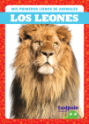 Los Leones (Lions) By Natalie Deniston Cover Image