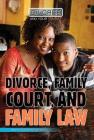 Divorce, Family Court, and Family Law (Divorce and Your Family) By Timothy Callahan, Anne Bianchi Cover Image