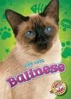 Balinese (Cool Cats) Cover Image