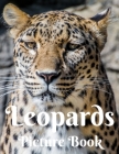 Leopards Picture Book: Picture Book for Alzheimer's Patients and Seniors with Dementia (Gift Book) Giant Cat Predator Animal Safari Feline Gi By Simeon Toluwase Cover Image
