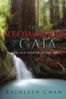The Redwoods of Gaia: A New Age Mirror of the Soul By Kathleen Chan Cover Image