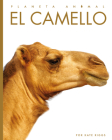 El camello By Kate Riggs Cover Image