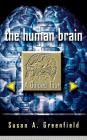 The Human Brain: A Guided Tour By Susan A. Greenfield Cover Image