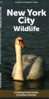 New York City Wildlife: A Folding Pocket Guide to Familiar Animals By Waterford Press Cover Image
