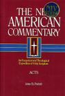 Acts: An Exegetical and Theological Exposition of Holy Scripture (The New American Commentary #26) By John B. Polhill Cover Image