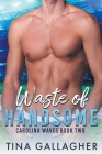 Waste of Handsome Cover Image
