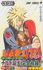 Naruto, Volume 53 Cover Image