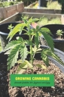 Growing Cannabis: Cannabis Guideline For Beginners and Enjoy: Perfect Gift For Holiday Cover Image