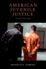 American Juvenile Justice Cover Image