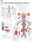 Metabolic Syndrome Chart: Laminated Wall Chart Cover Image