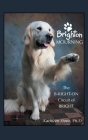 Brighton Mourning: The B-Right-On Circuit of Bright Cover Image