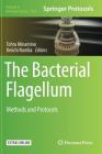 The Bacterial Flagellum: Methods and Protocols (Methods in Molecular Biology #1593) By Tohru Minamino (Editor), Keiichi Namba (Editor) Cover Image
